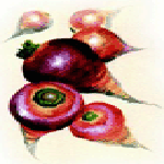 Maca Root (Lepidum meyenil)