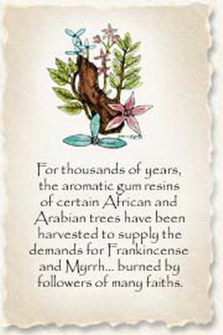 Click here to view larger image