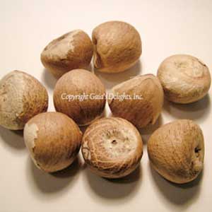 Areca Catechu (Whole Betel Nuts)