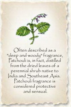 Click here to view larger image