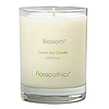 Florapathics Luxury Soy Candle - Blossom™