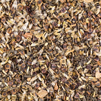 All Seeds