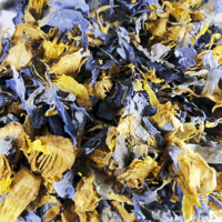 Dried Flowers