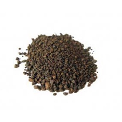 Siberian Motherwort (Leonurus sibiricus) seeds