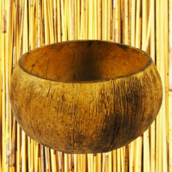 Coconut Cup