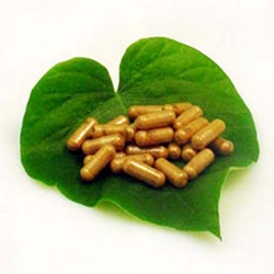 Capsules - Passion Flower (P. incarnata)