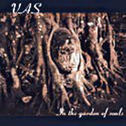 VAS- In the Garden of Souls