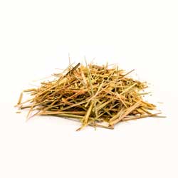 Lemongrass