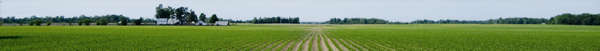 Private Reserve Farmland