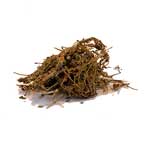 Dried Herb - Shankhapushpi