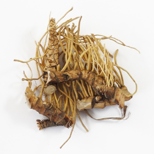 Calamus Root Whole (Acorus calamus var. Americanus) - Shaman's Garden