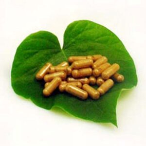 Capsules - Eleuthero Root (Siberian Ginseng) (60Capsules)