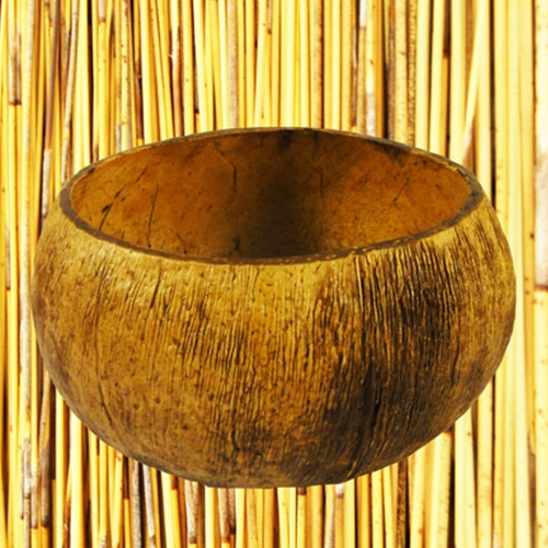 Coconut Cup - Shaman's Garden
