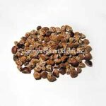 Pile of roasted corn nuts on a white background.