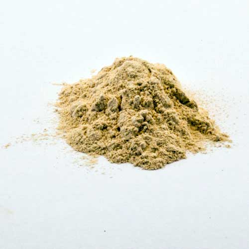 Boswellia_5x - Shaman's Garden