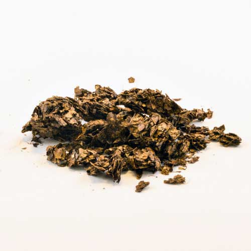 Combretum_25x - Shaman's Garden