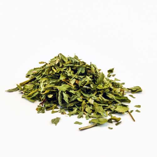 Red_Clover - Shaman's Garden