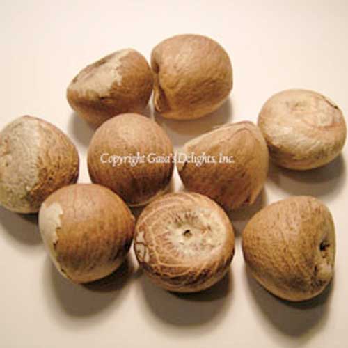betelnut-whole - Shaman's Garden