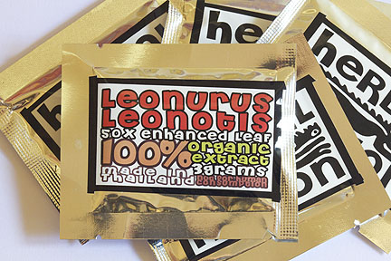 resin_leonurus-leonotis - Shaman's Garden