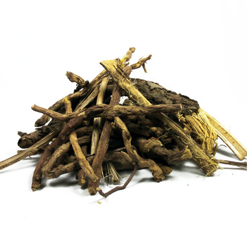 silene_capensis - Shaman's Garden