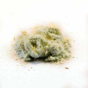 Dreaming Herbs