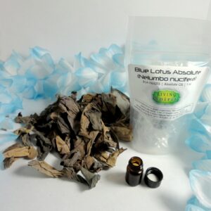 Dried brown leaves beside a bag labeled Blue Lotus Absolute essential oil and two small amber bottles, with pale blue decorations in the background.