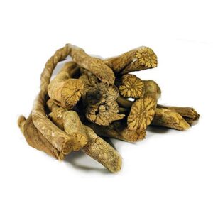 Banisteriopsis Caapi - Whole Black Vine