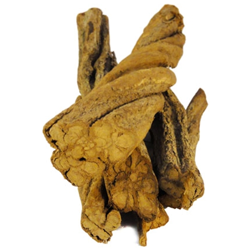 banisteriopsis-caapi-whole-yellow-vine - Shaman's Garden Banisteriopsis Caapi - Whole Yellow Vine