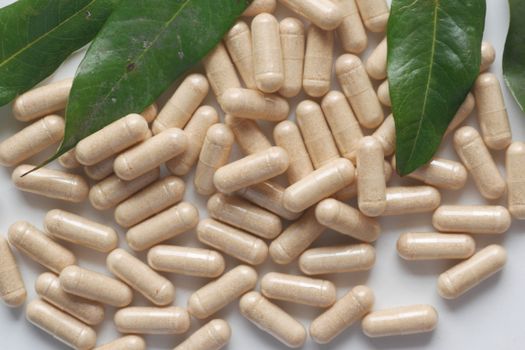 Supplement based on ayahuasca component makes formal debut - ShamansGarden