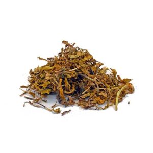 Tagetes erecta (Aztec Marigold)