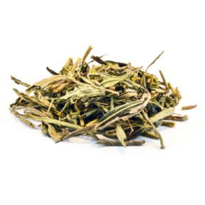Tagetes lucida (Mexican Tarragon)