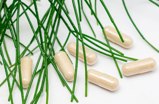 Supplement Based On Ayahuasca Component - ShamansGarden